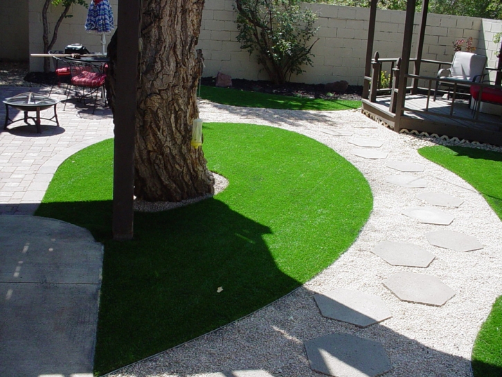 Fake Turf Montverde Florida Lawn Swimming Pools Commercial