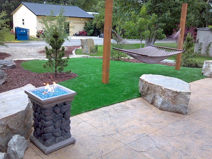 Fake Turf Mount Dora Florida Lawn Back Yard