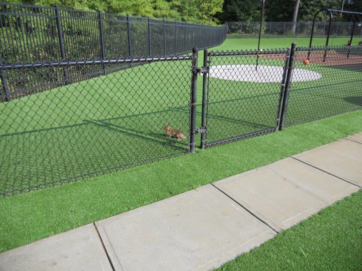 Fake Turf Oakland Florida Kindergarten Front Yard