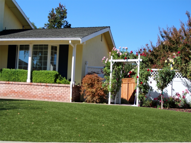 Fake Turf Okahumpka Florida Lawn Front Yard