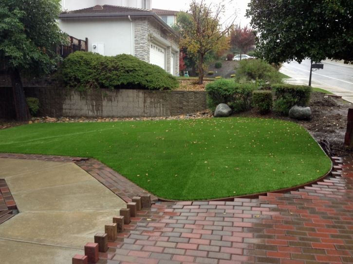 Fake Turf Rockledge Florida Lawn Back Yard