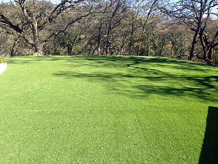 Fake Turf Saint Leo Florida Lawn