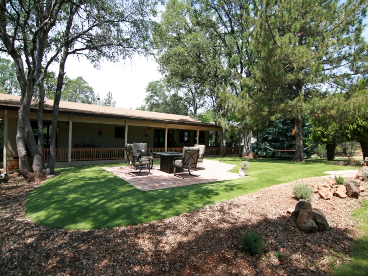 Fake Turf Tangelo Park Florida Lawn Commercial Landscape