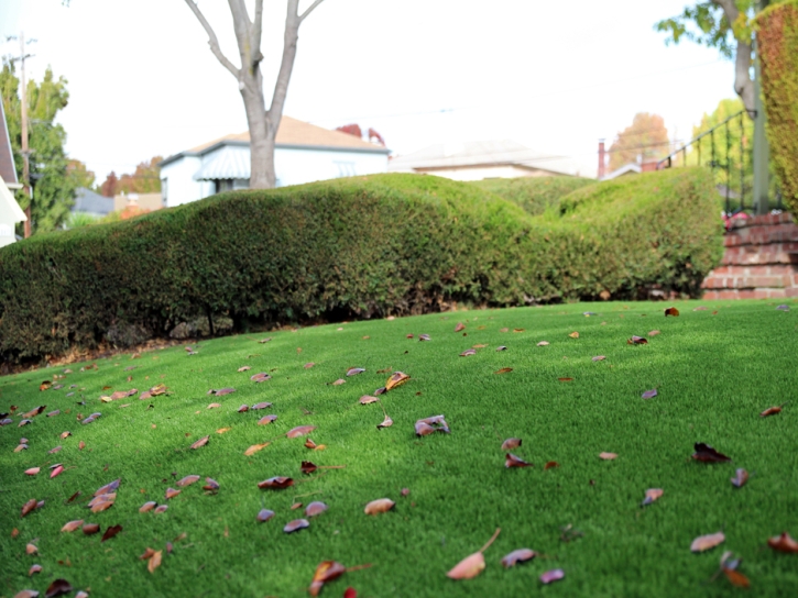 Fake Turf Trilby Florida Landscape Front Yard