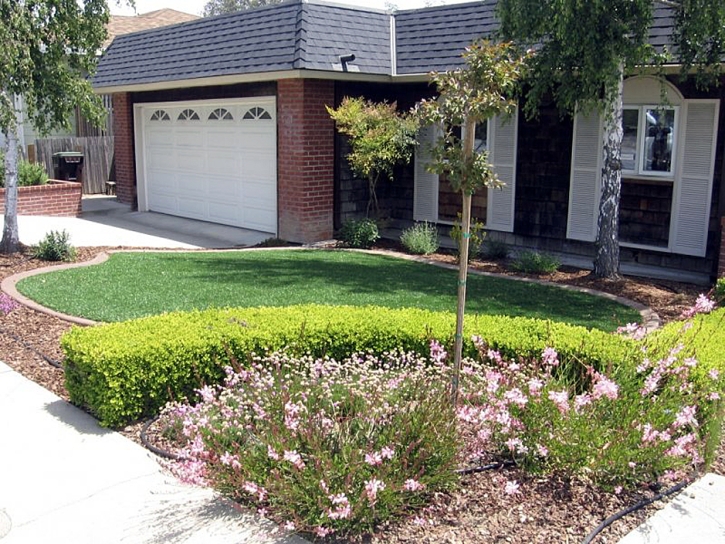 Fake Turf West Melbourne Florida Landscape Back Yard