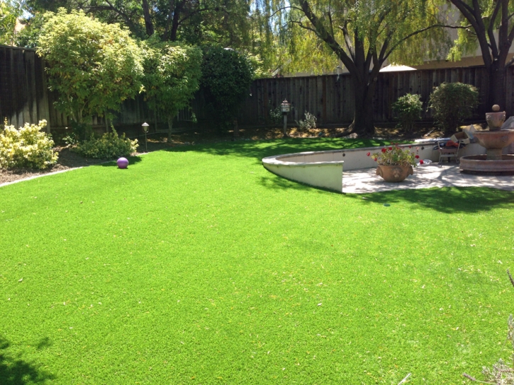 Fake Turf Williamsburg Florida Landscape Front Yard