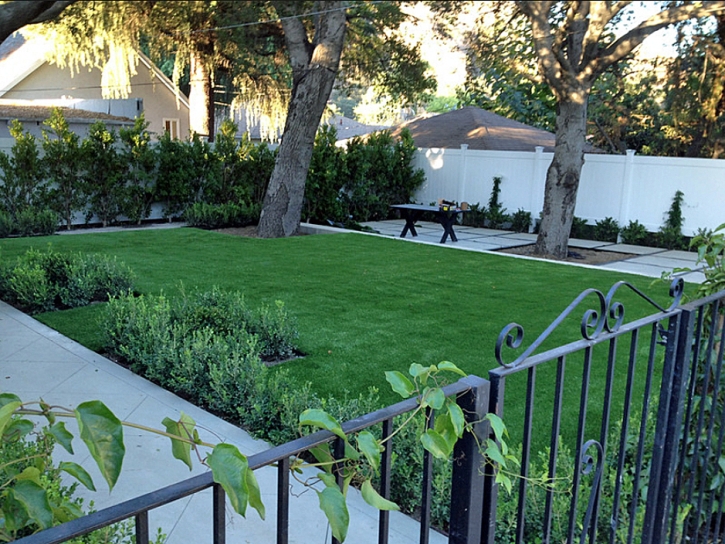 Fake Turf Winston Florida Lawn Front Yard