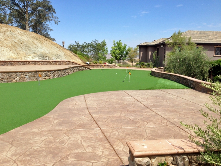 Golf Putting Greens Cocoa Florida Fake Turf Back Yard