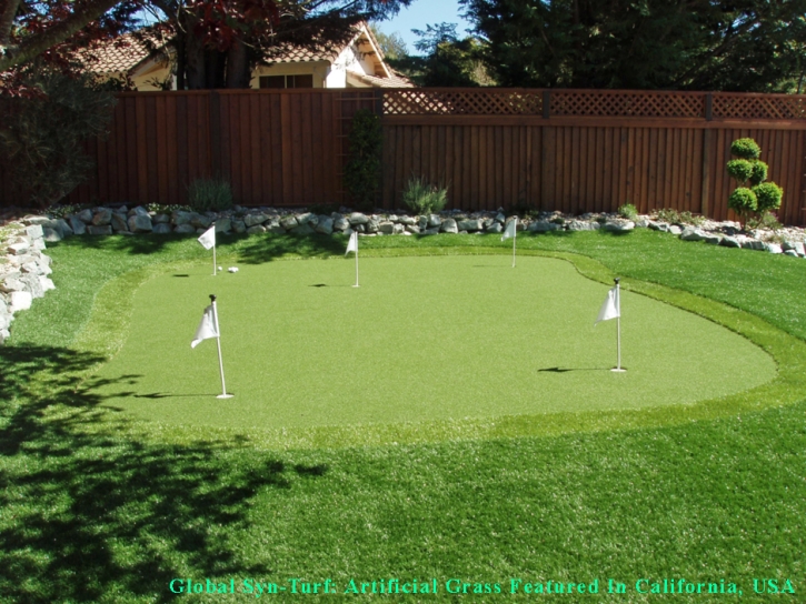 Golf Putting Greens Conway Florida Synthetic Turf