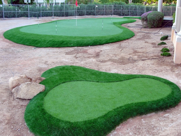 Golf Putting Greens DeBary Florida Synthetic Grass Back