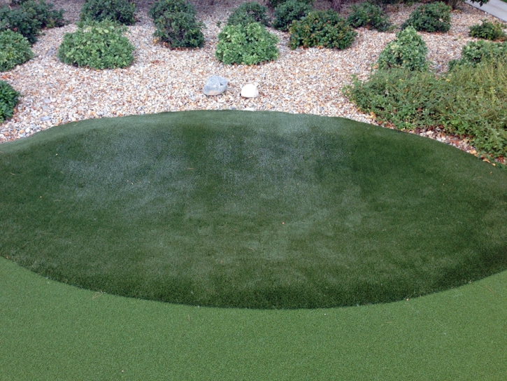 Golf Putting Greens Inwood Florida Artificial Turf