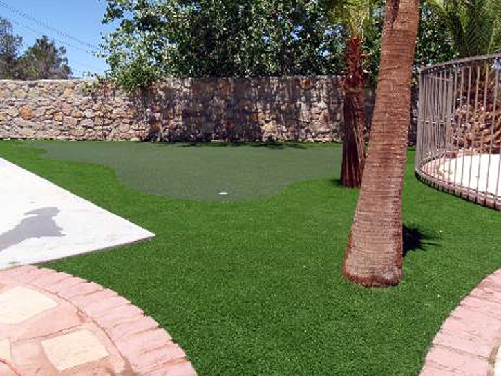 Golf Putting Greens Mims Florida Synthetic Grass Back Yard