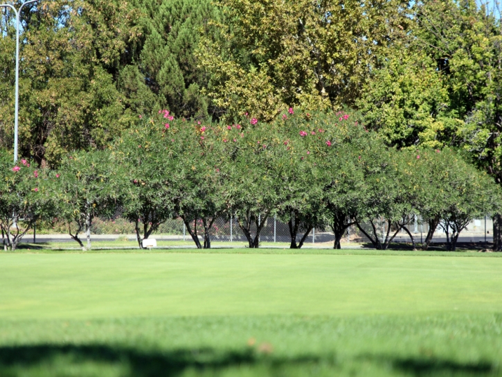 Golf Putting Greens North DeLand Florida Artificial Turf