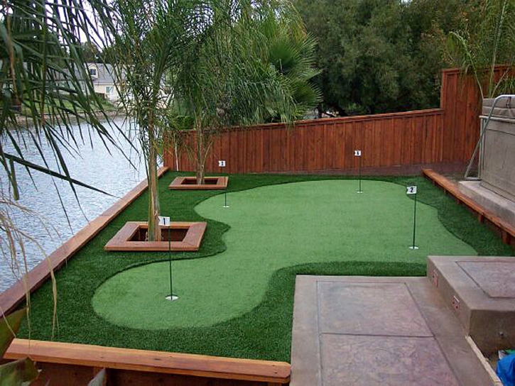 Golf Putting Greens Paisley Florida Synthetic Grass Back