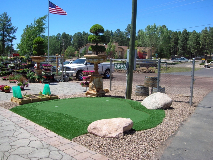 Golf Putting Greens Wedgefield Florida Fake Turf Fountans