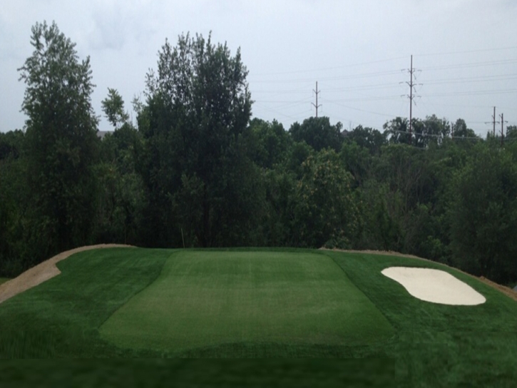 Putting Greens Bithlo Florida Artificial Turf Back Yard