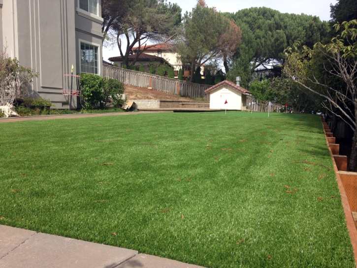 Putting Greens Center Hill Florida Fake Grass Front Yard