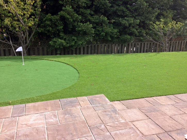 Putting Greens Combee Settlement Florida Artificial Grass