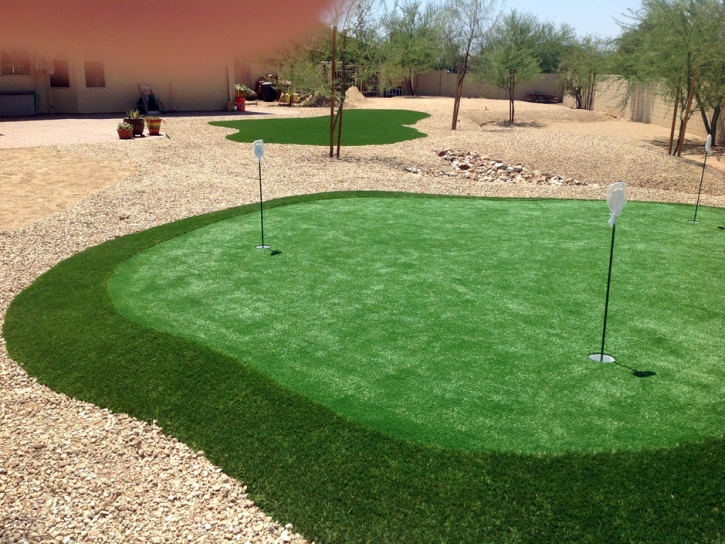 Putting Greens Dundee Florida Fake Grass Front Yard