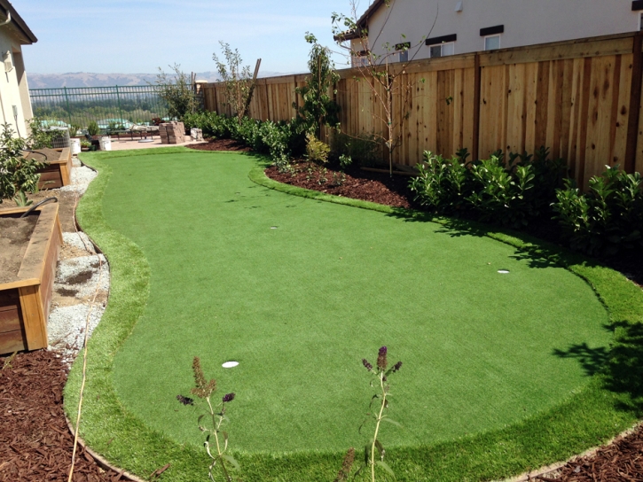 Putting Greens Haines City Florida Artificial Grass