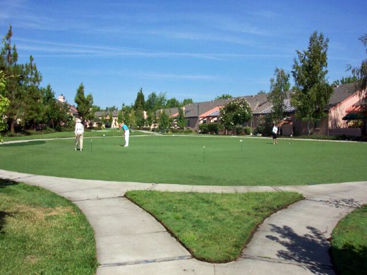 Putting Greens Haines City Florida Artificial Turf Back