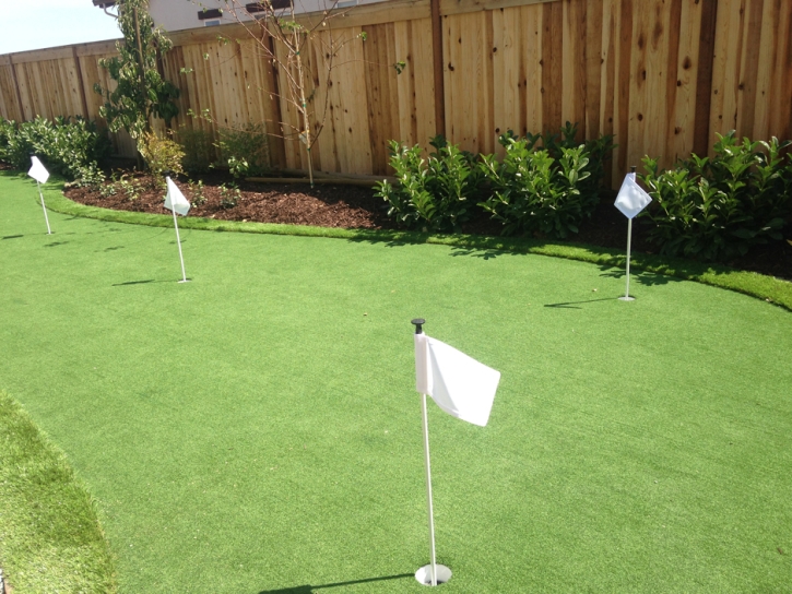 Putting Greens Hawthorne Florida Artificial Turf Back Yard