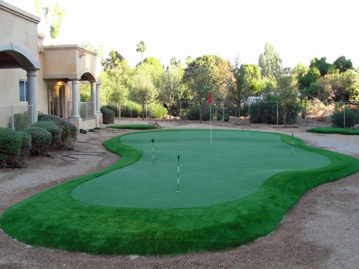 Putting Greens Minneola Florida Fake Turf Front Yard