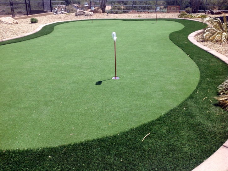 Putting Greens Port Saint John Florida Artificial Turf Back