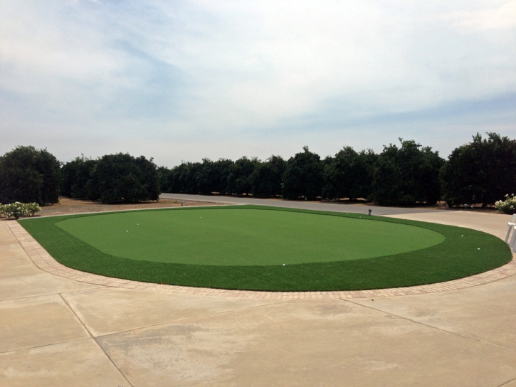 Putting Greens Silver Lake Florida Artificial Turf Back