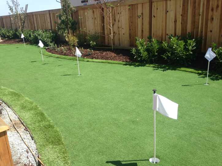 Putting Greens Tildenville Florida Artificial Grass Front