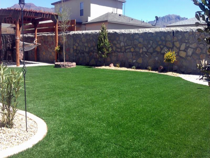 Synthetic Grass Astatula Florida Lawn