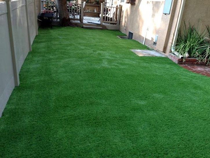 Synthetic Grass Babson Park Florida Landscape Back Yard