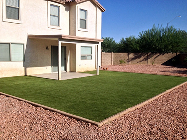 Synthetic Grass Belleview Florida Landscape Back Yard