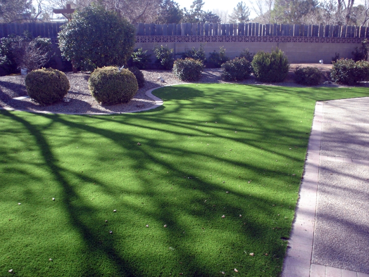 Synthetic Grass Celebration Florida Lawn Front Yard