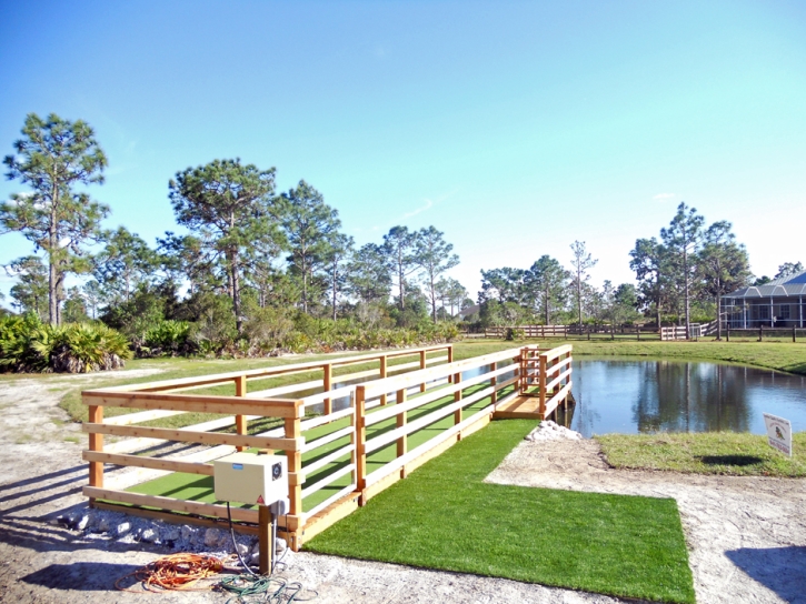 Synthetic Grass Christmas Florida Lawn Front Yard