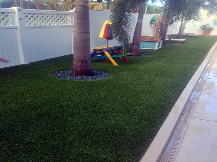 Synthetic Grass Combee Settlement Florida Lawn