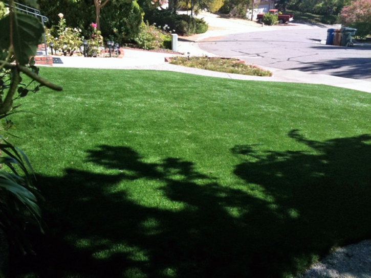 Synthetic Grass Cypress Gardens Florida Lawn Back Yard