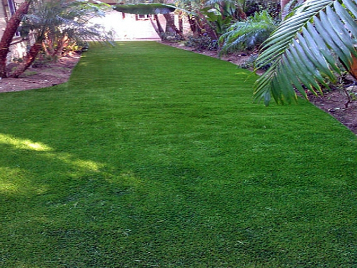 Synthetic Grass Daytona Beach Florida Landscape