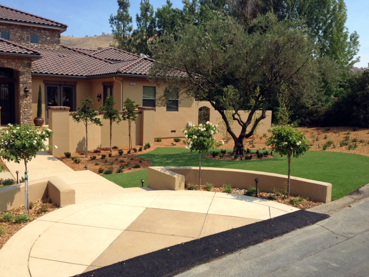 Synthetic Grass DeBary Florida Landscape Back Yard