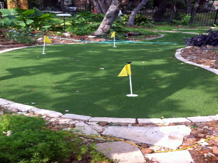 Synthetic Grass Doctor Phillips Florida Landscape