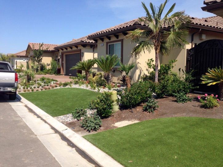 Synthetic Grass Dundee Florida Landscape Back Yard