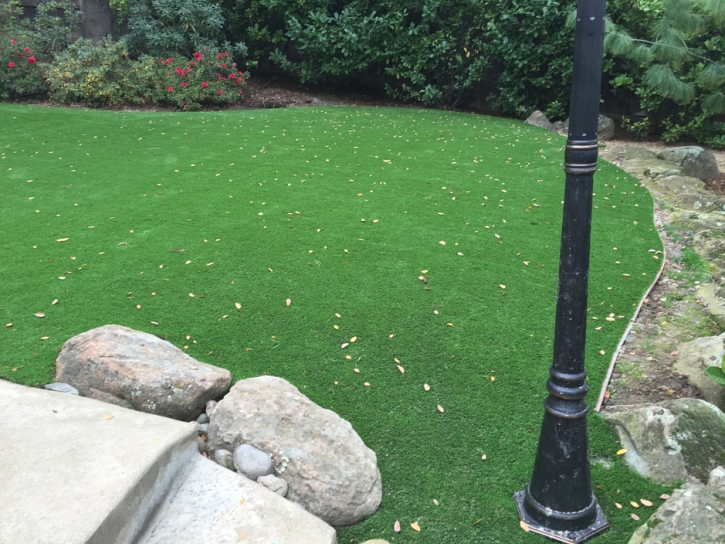 Synthetic Grass Floral City Florida Landscape