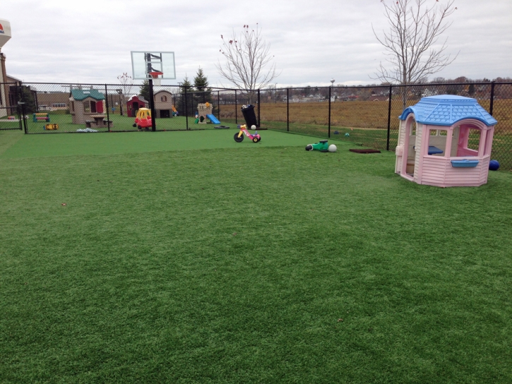 Synthetic Grass Heathrow Florida Kids Care Front Yard