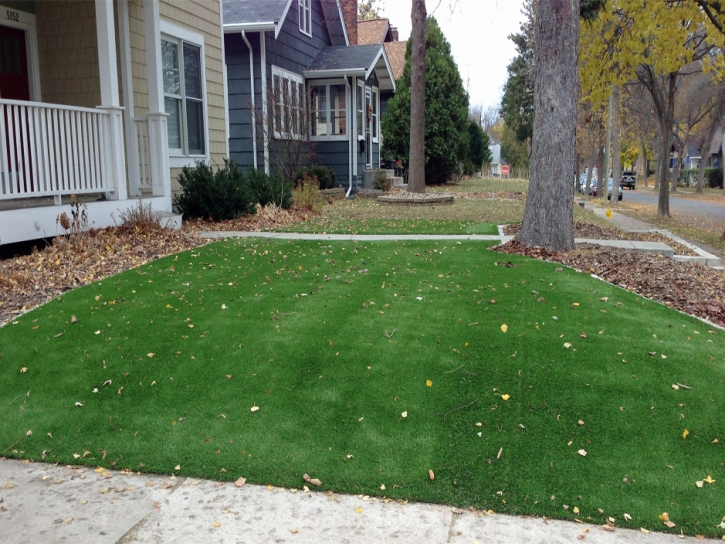 Synthetic Grass Heathrow Florida Lawn Front Yard