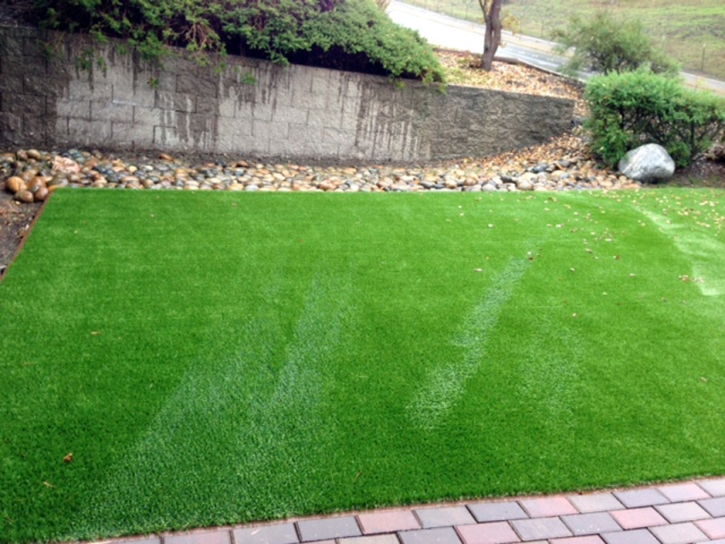 Synthetic Grass Lacoochee Florida Lawn Front Yard