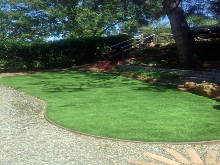 Synthetic Grass Lake Panasoffkee Florida Landscape