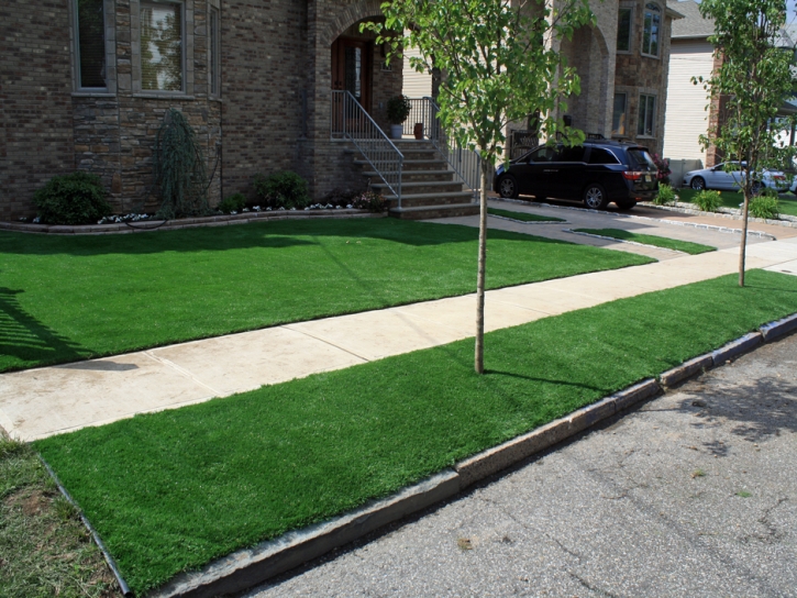 Synthetic Grass Midway Florida Landscape Back Yard