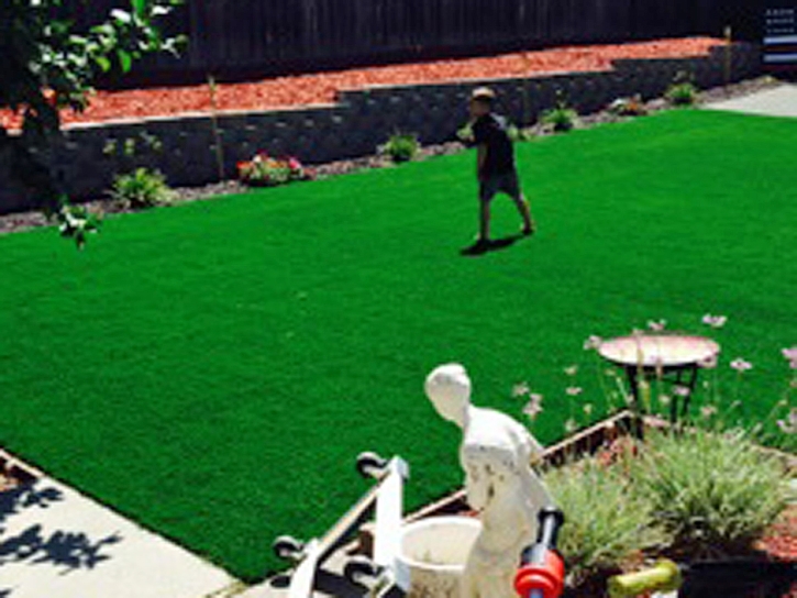 Synthetic Grass Orange City Florida Lawn Commercial Landscape