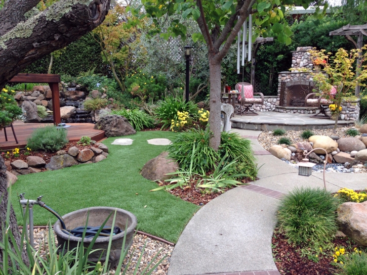 Synthetic Grass Port Orange Florida Lawn