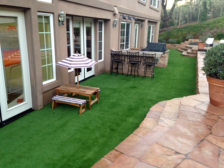 Synthetic Grass Saint Leo Florida Landscape Back Yard